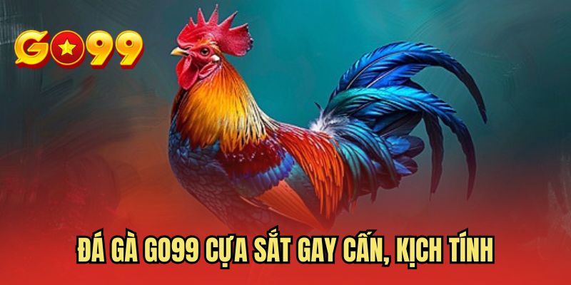 Đá gà GO99 cựa sắt gay cấn, kịch tính
