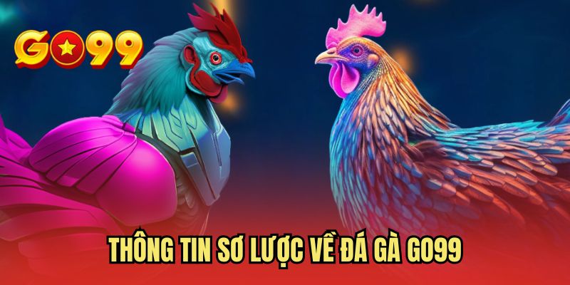 Thông tin sơ lược về đá gà GO99